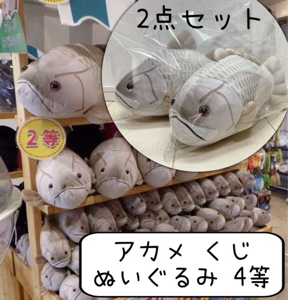 アカメ ぬいぐるみ くじ 魚 水族館 キュート CUTE 釣り 怪魚 まとめ売り 2点セット
