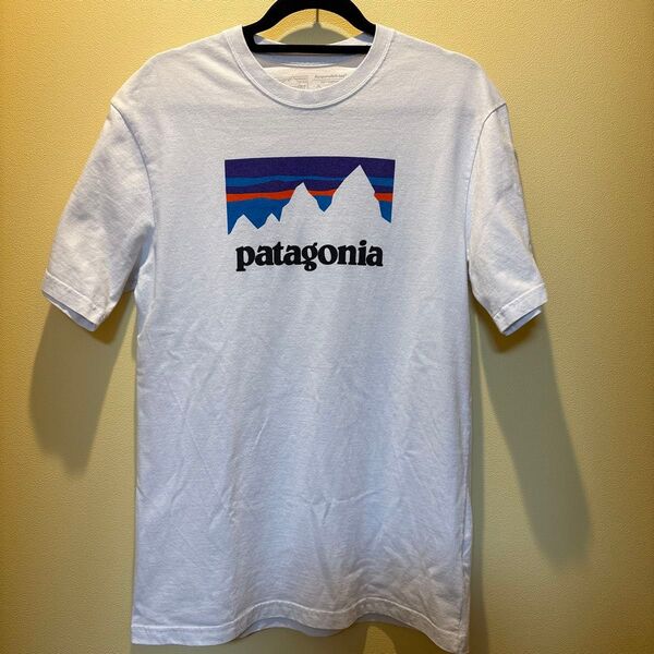 patagonia 半袖Tシャツ