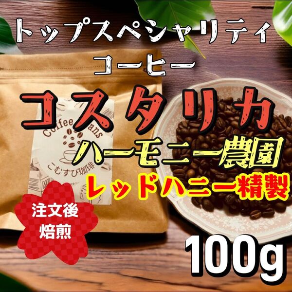自家焙煎コーヒー豆 コスタリカ ハーモニー農園 中煎り 100g
