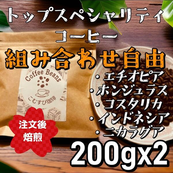 自家焙煎コーヒー豆 トップスペシャリティコーヒー豆組み合わせ自由 200g×2袋