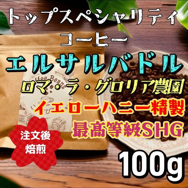 自家焙煎コーヒー豆 エルサルバドル ロマ・ラ・グロリア農園 中煎り 100g
