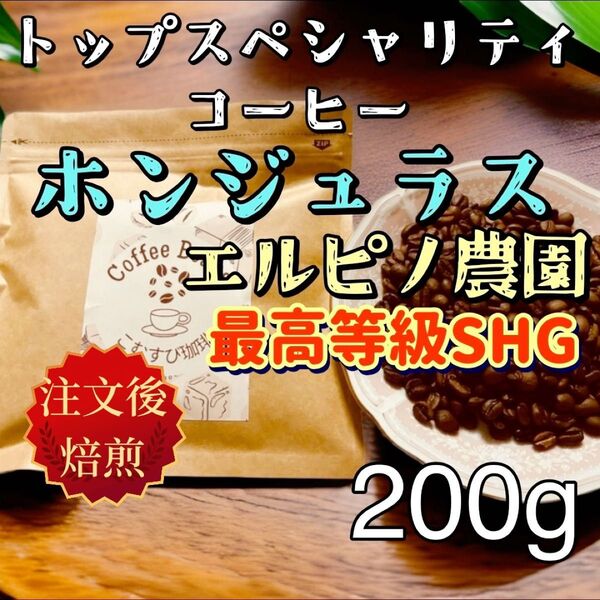 自家焙煎コーヒー豆 ホンジュラス エル・ピノ農園 最高規格SHG 中煎り200g