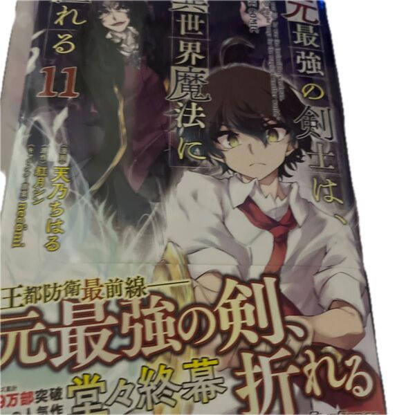 元最強の剣士は、異世界魔法に憧れる THE COMIC 11 (Ride Comics) 天乃ちはる/漫画 紅月シン/原作