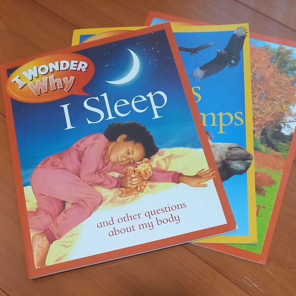 英語 絵本 洋書 多読 I Wonder Why 3冊セット