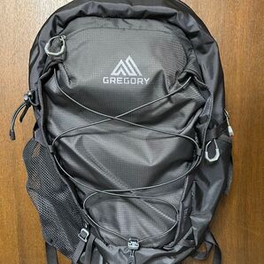 グレゴリー GREGORY パック リュック バックパック イナーシア 24 オブシダンブラック 24L 軽量 通勤 通学