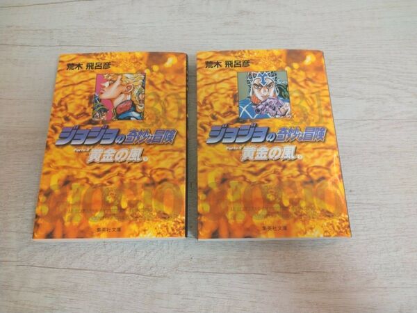 【文庫本】ジョジョの奇妙な冒険 30&31 黄金の風 第5部