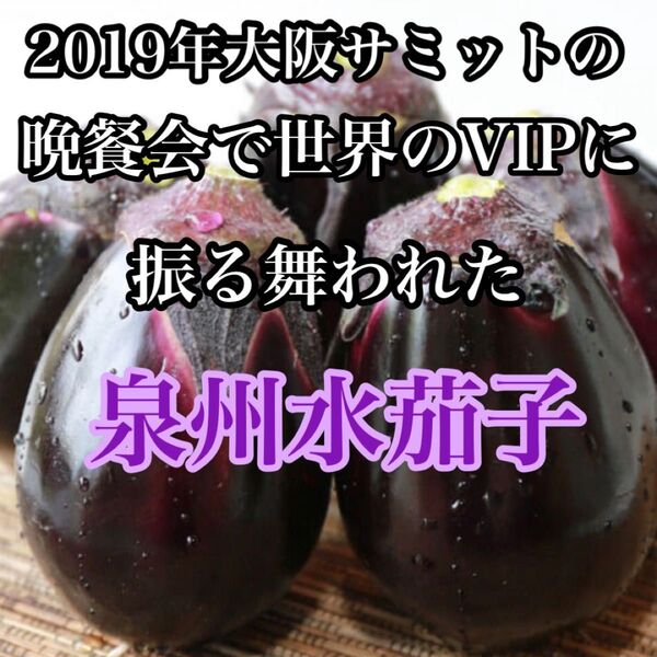 今が旬!大阪特産 泉州水茄子 7個から12個入り 送料無料