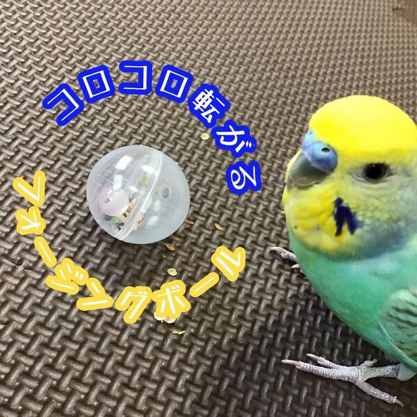 フォージングボール★インコや文鳥の小鳥のハンドメイドおもちゃ バードトイ