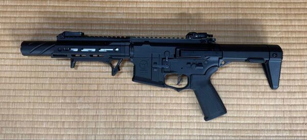 値下げ中 ARES AMOEBA ハニーバジャー 外装カスタム品