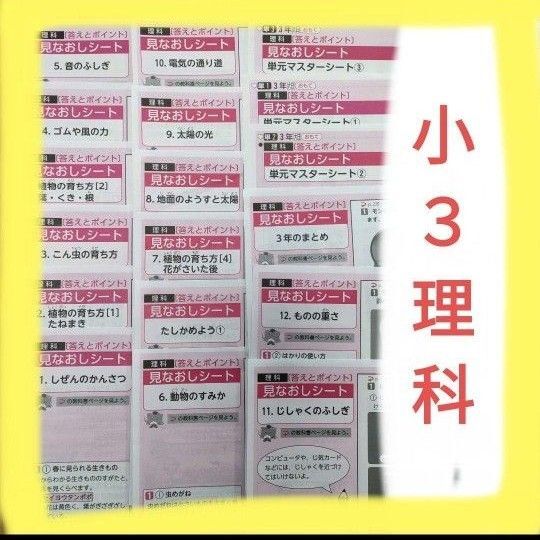 【小3理科18枚】小学3年生カラーテスト1年分 見なおしシート 青葉出版 大日