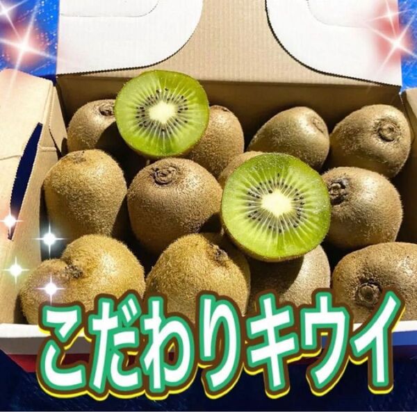 キウイ 国産 ハネダシ 家庭用 2キロ以上 追熟未処理品