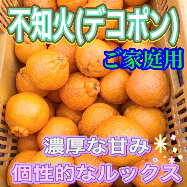 デコポン 不知火 ご家庭用 約2キロ 最終便