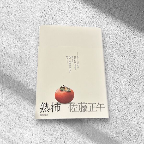熟柿 佐藤正午/著 初版