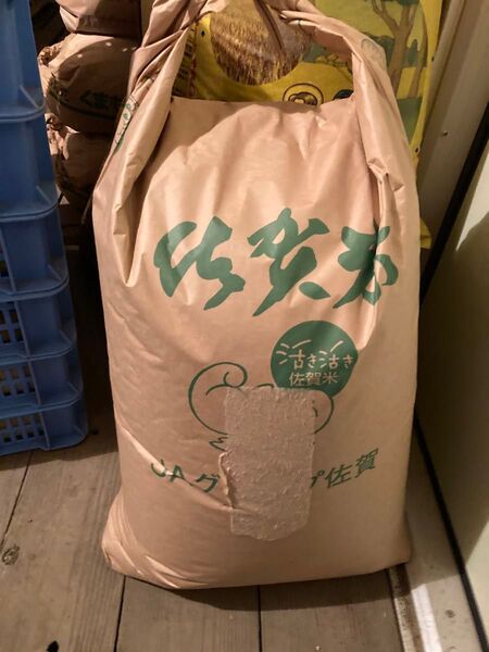 福岡県産 元気つくし 玄米 30kg 令和5年度産 一等米