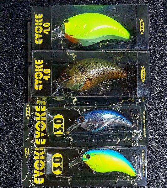 263.デプス イヴォーク3.0・イヴォーク4.0 新品4個セット
