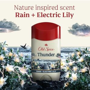 オールドスパイス サンダー デオドラントスティック 制汗剤 デオドラント old spice リリー ホワイトムスク 白固形