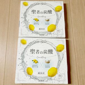 聖者の炭酸【純国産】重曹クエン酸水用食用重曹×食用クエン酸 2箱