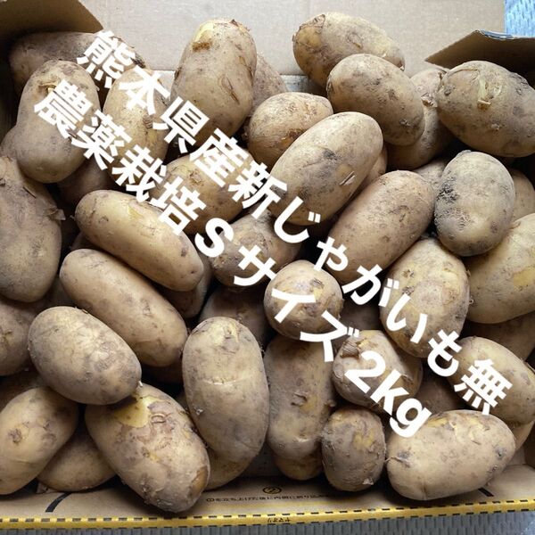 熊本県産新じゃがいも無農薬栽培2kg