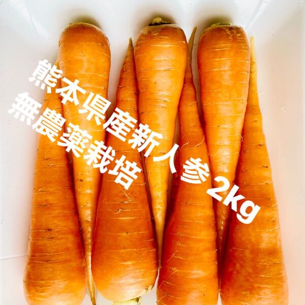 熊本県産新人参2kg無農薬栽培