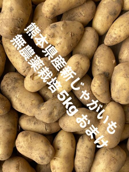 【特価】熊本県産新じゃがいも無農薬栽培5kg おまけ付