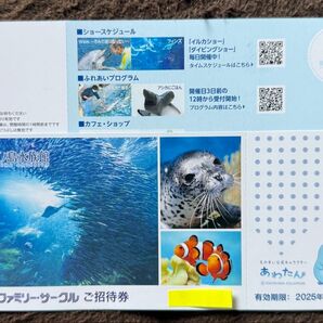 新江ノ島水族館 招待券 2枚