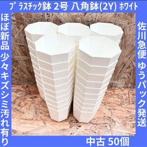 プラスチック鉢2号八角鉢(2Y)ホワイト50個【中古】佐川急便ゆうパック発送