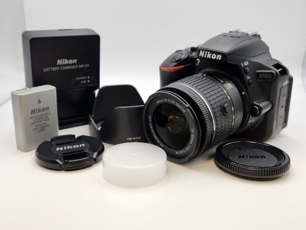 NIKON デジタル一眼レフカメラD5600 AF-P 18-55mm レンズキット