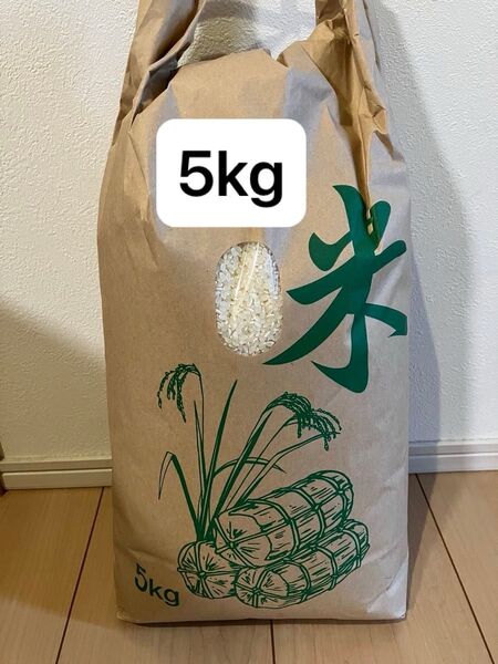 富山県産 コシヒカリ 5kg 5キロ こしひかり 2024 米 おいしい JA 送料込 国内産 令和6年 2024年 お米 白米