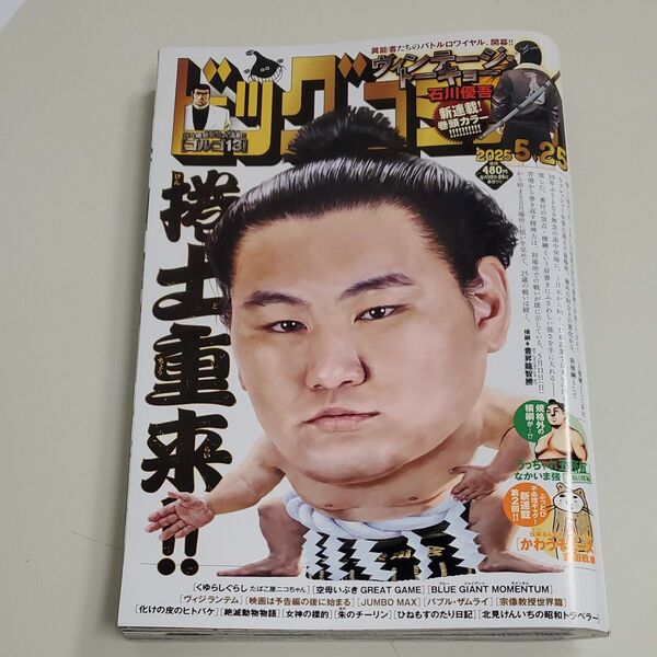 ビッグコミック 2025年5月25日号