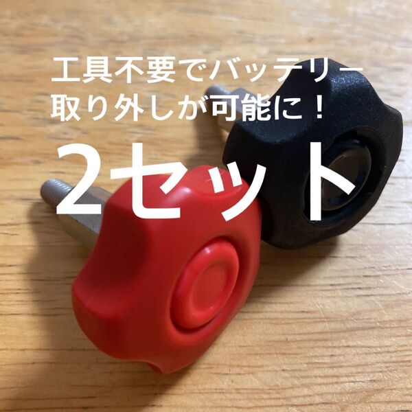 【2セット】ジェットスキー バッテリー ボルト