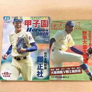 週刊朝日 甲子園Heroes 2019&高校野球秋季大会特集 2冊セット