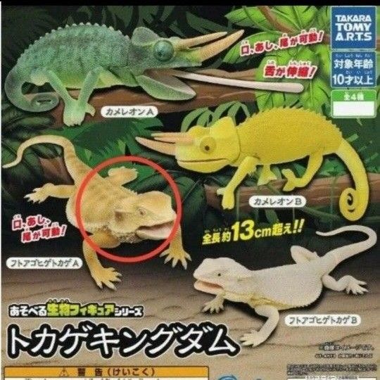 あそべる生物フィギュアシリーズ フトアゴヒゲトカゲ A ガチャ