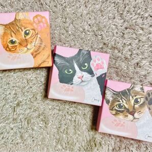 【未開封】またたび果実エキス入りせっけん 茶トラ ハチワレ キジトラ 3個セット ファミマコラボ 数量限定 猫 Coony