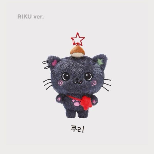 未開封 nctwish steady wish doll リク クリ ぬいぐるみ
