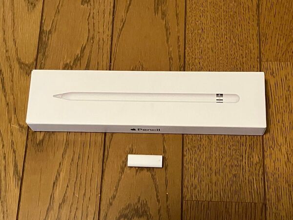 Apple Pencil (第1世代) オプションパーツ含む