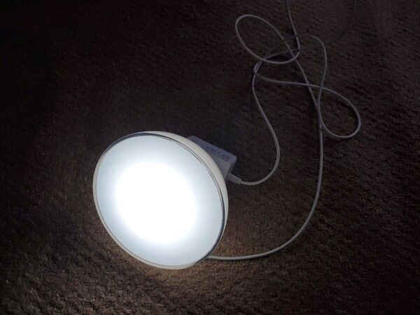 フィリップス(Philips) Hue Go スマートライト