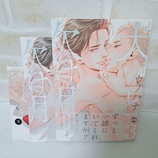 ウノハナ犬と欠け月3巻商業BLボーイズラブコミック漫画初版特典付き