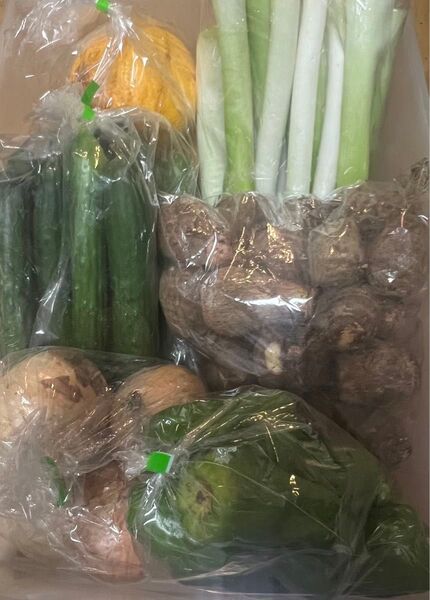 K 限定特売♪ 訳あり大盛りお買い得6種野菜セット