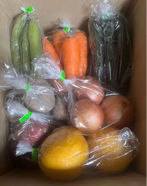 C限定特売♪ 大盛りお買い得7種野菜セッと