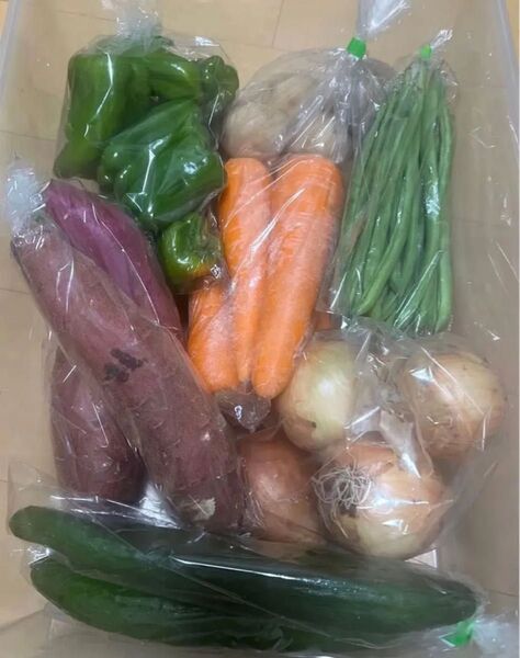 D限定特売♪ 大盛りお買い得7種野菜セッと