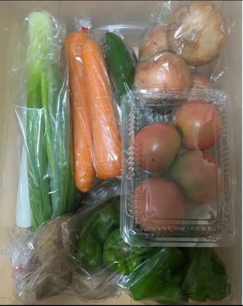B限定特売♪ 大盛りお買い得7種野菜セット