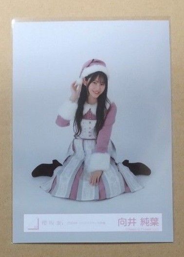 向井純葉 櫻坂46 生写真 2024年クリスマスサンタ衣装(座り)