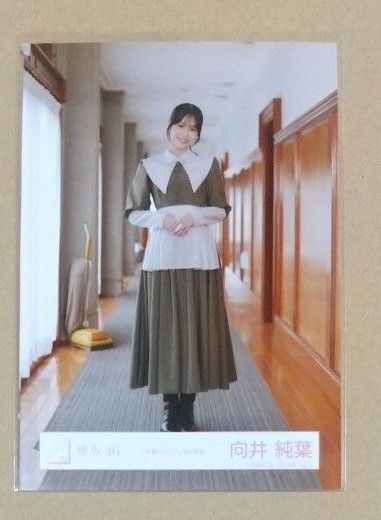 向井純葉 櫻坂46 生写真 「本質的なこと」MV衣装(ヒキ)