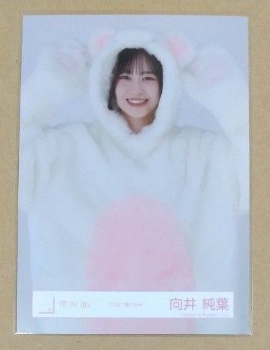 向井純葉 櫻坂46 生写真 どうぶつ着ぐるみ(チュウ)