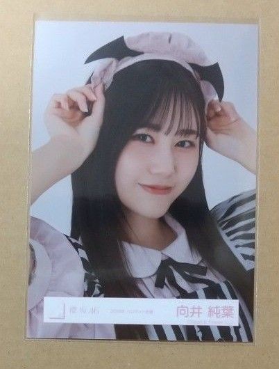向井純葉 櫻坂46 生写真 2024年ハロウィン衣装(ヨリ)