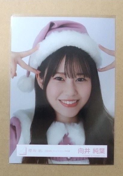向井純葉 櫻坂46 生写真 2024年クリスマスサンタ衣装(ヨリ)