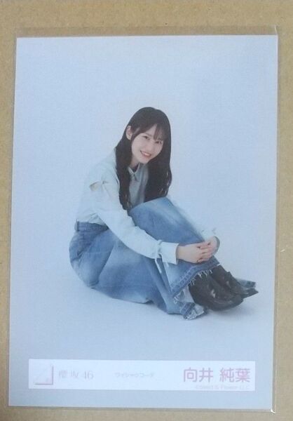 向井純葉 櫻坂46 生写真 ワイシャツコーデ(座り)