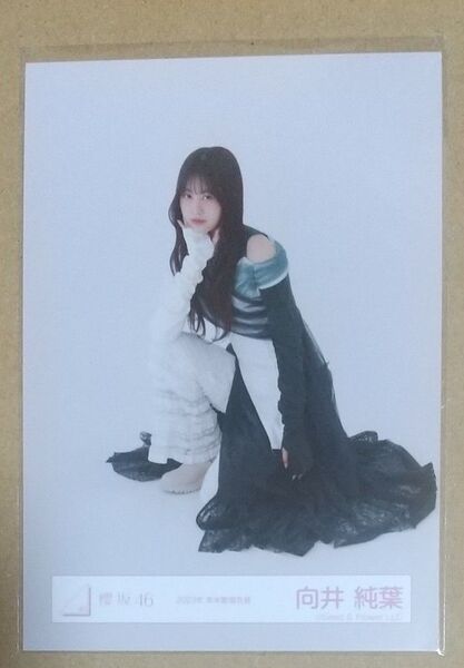 向井純葉 櫻坂46 生写真 2023年年末歌唱衣装(座り)