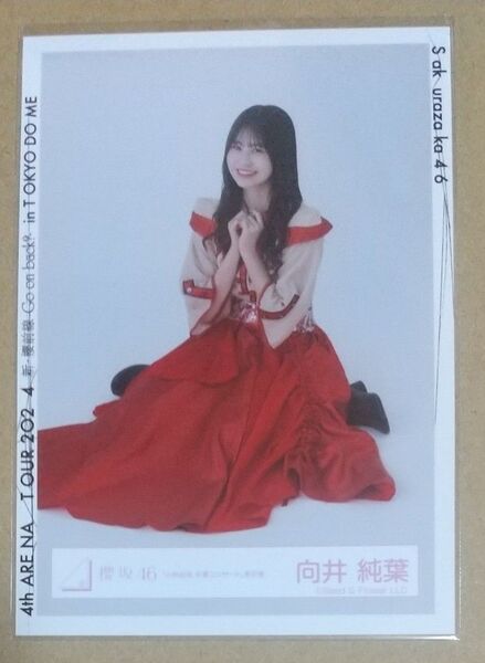 向井純葉 櫻坂46 生写真 「小林由依卒業コンサート」赤衣装(座り)