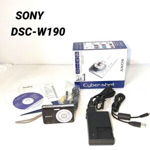 SONY Cyber-shot DSC-W190